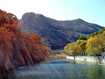 新澳天天开奖资料大全旅游团，泛目录线索